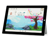中阳Surface 无法开启、Windows 无法启动或电池无法充电